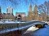 NYC_winter.jpg